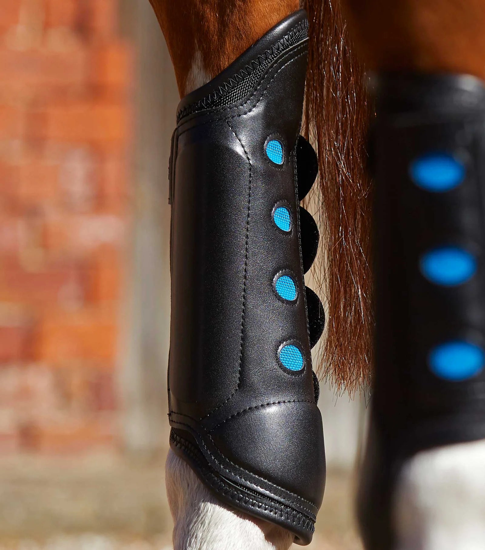 Air Cooled Original Eventing Boots - Hind
