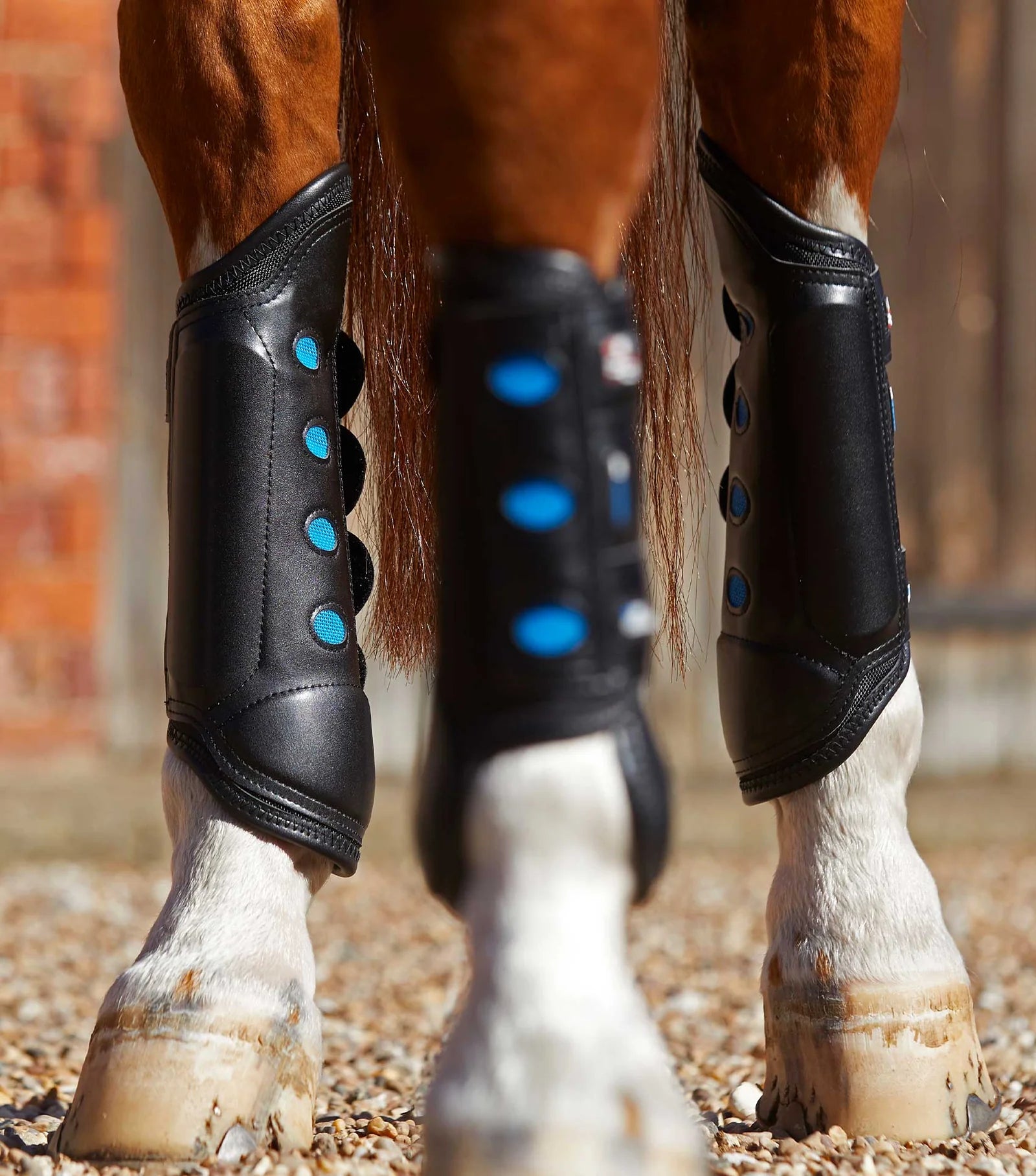 Air Cooled Original Eventing Boots - Hind