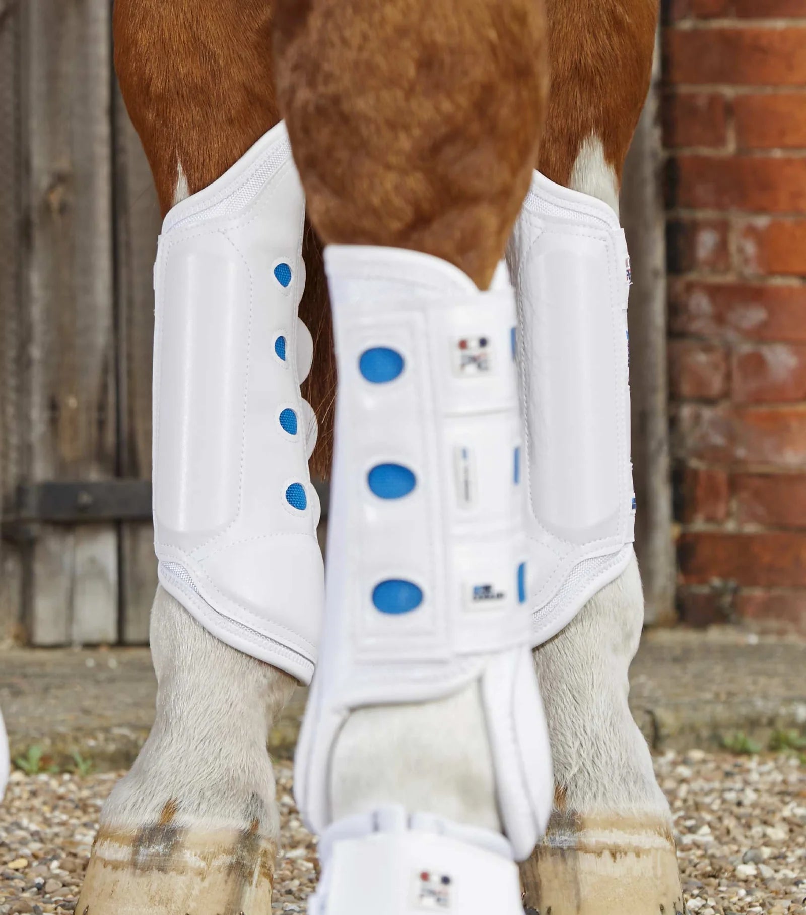 Air Cooled Original Eventing Boots - Hind