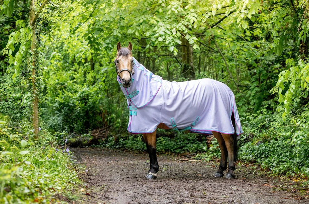 Amigo Pony Bug Rug