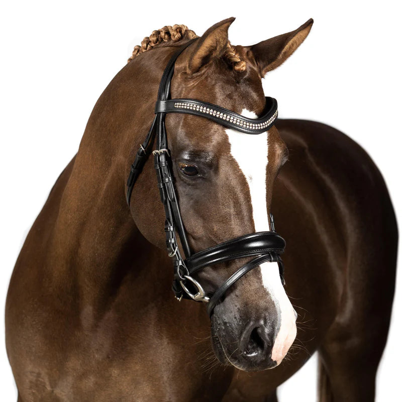 black-snaffle-bridle-paradise--1_800x_2b314916-c42b-4460-9f1b-6a828b0bb054.webp