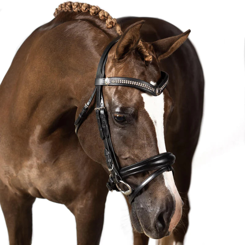 black-snaffle-bridle-petrichor--1_800x_8c4bf0fc-061a-4e5f-99d2-360137438243.webp