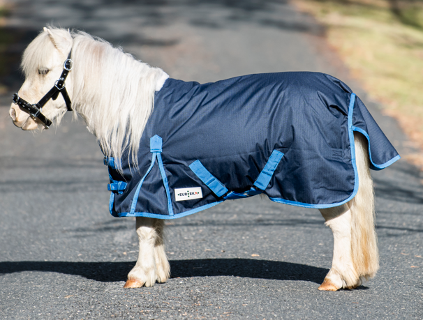 Eureka Bounty Synthetic Rug