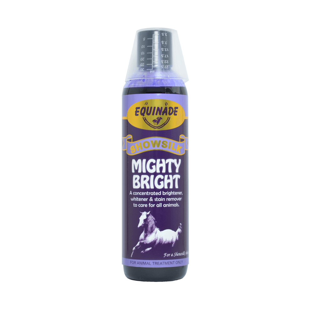 equinade-showsilk-mighty-bright.png