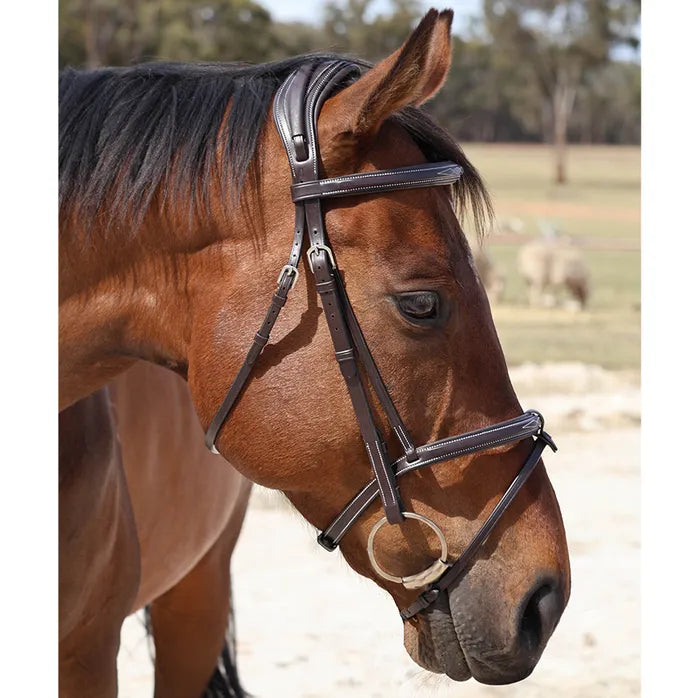 Grainge Raised and Padded Bridle