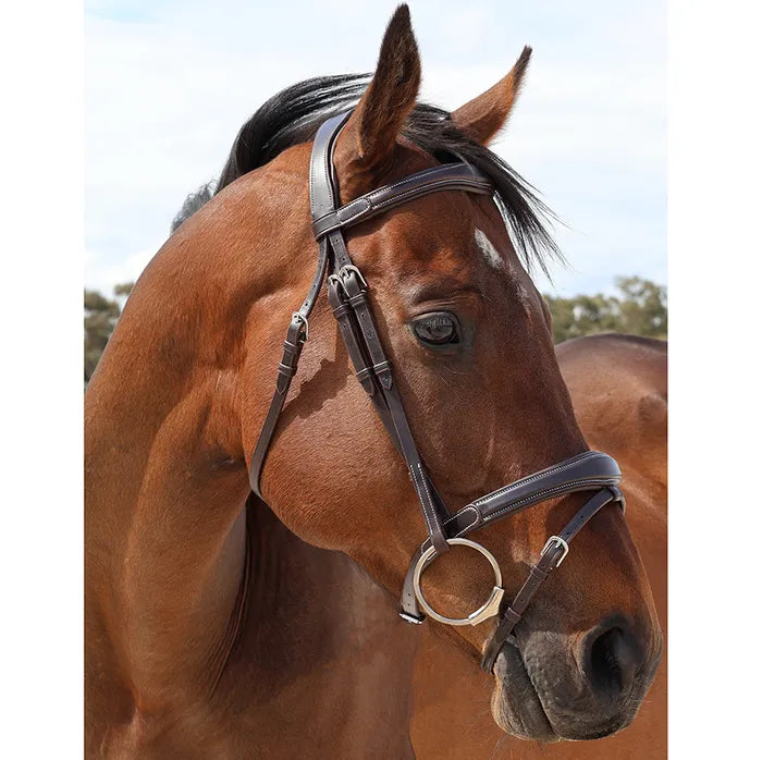 Grainge Elite Padded Snaffle Bridle