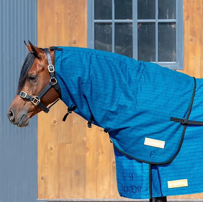 Academy Canvas Neck Rug II
