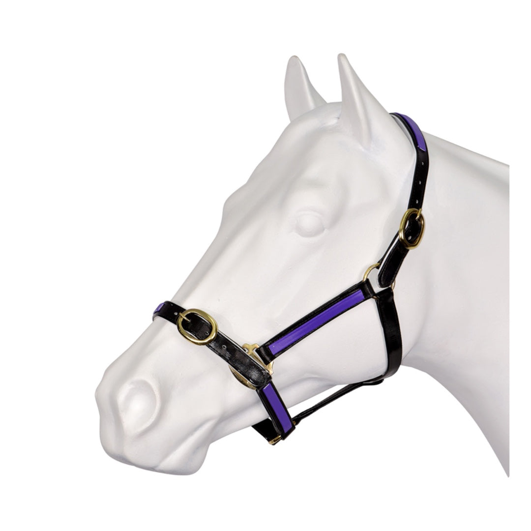 PVC Overlay Halter