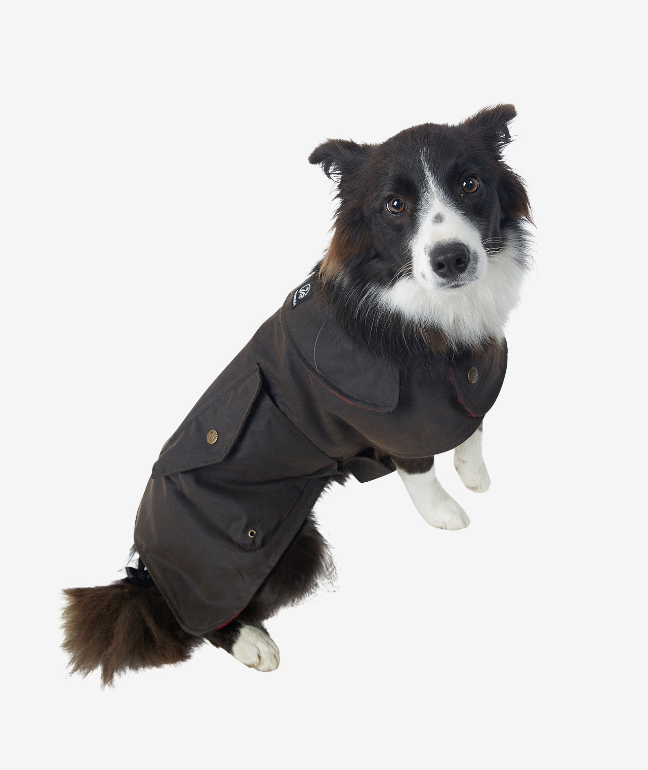 hunter-oilskin-dog-coat.jpg