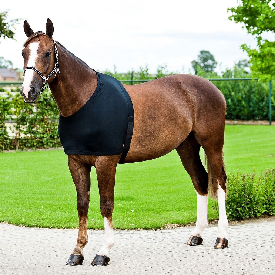 Comforce Shoulder Guard