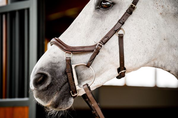 Micklem II Deluxe Competition Bridle