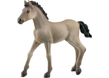 Schleich - Criollo Definitivo Foal