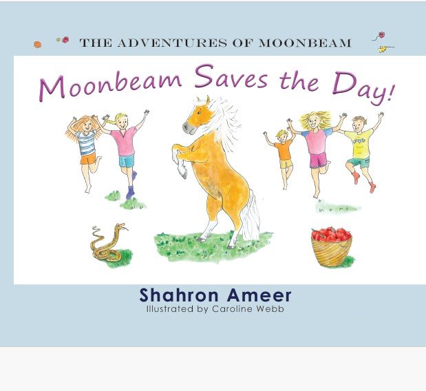 Moonbeam Saves the Day - Hard Cover