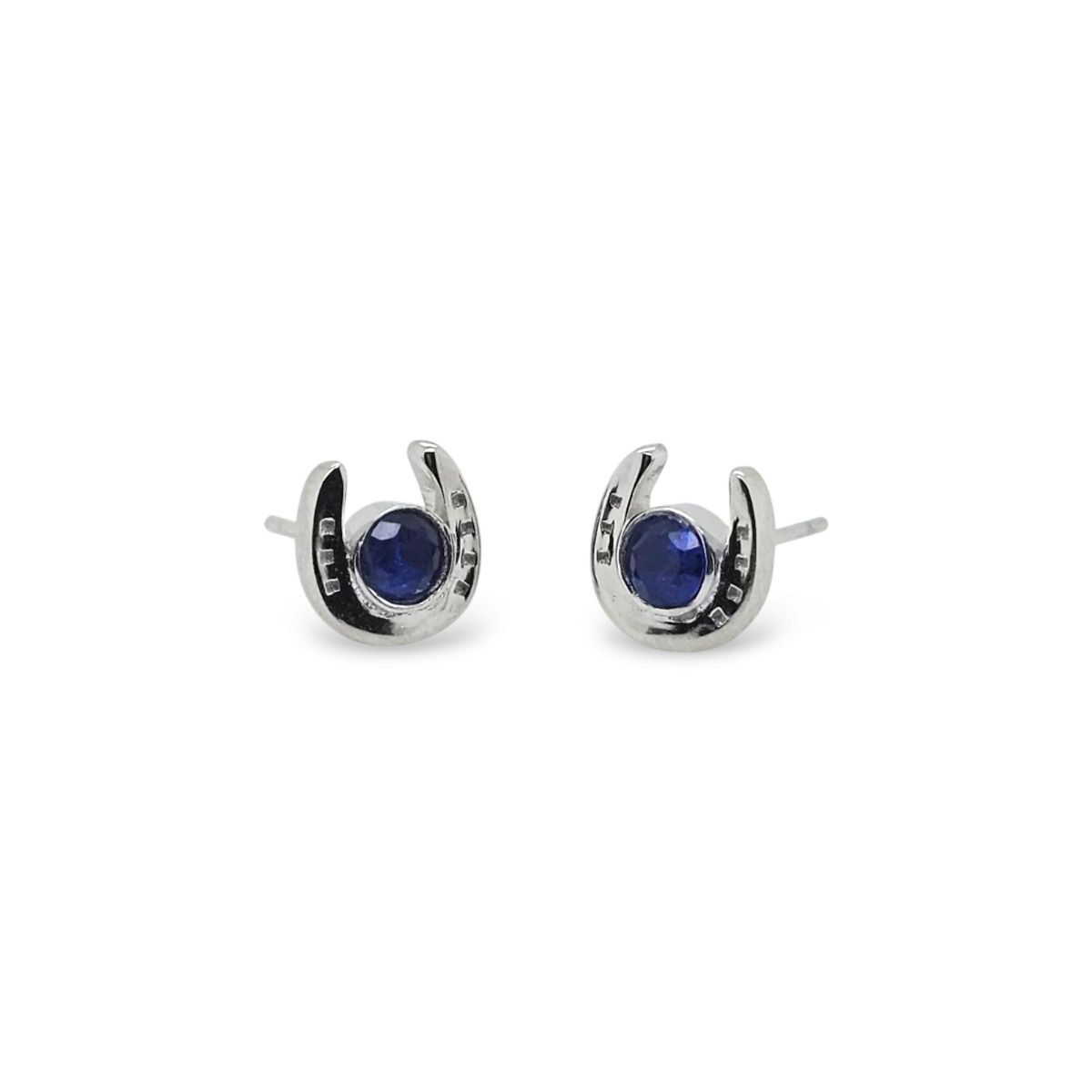 studs-ss-db-cz-horse-shoe.jpg