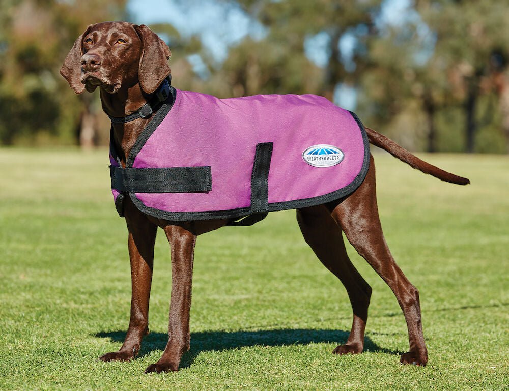 Weatherbeeta ComFiTec Classic Dog Coat