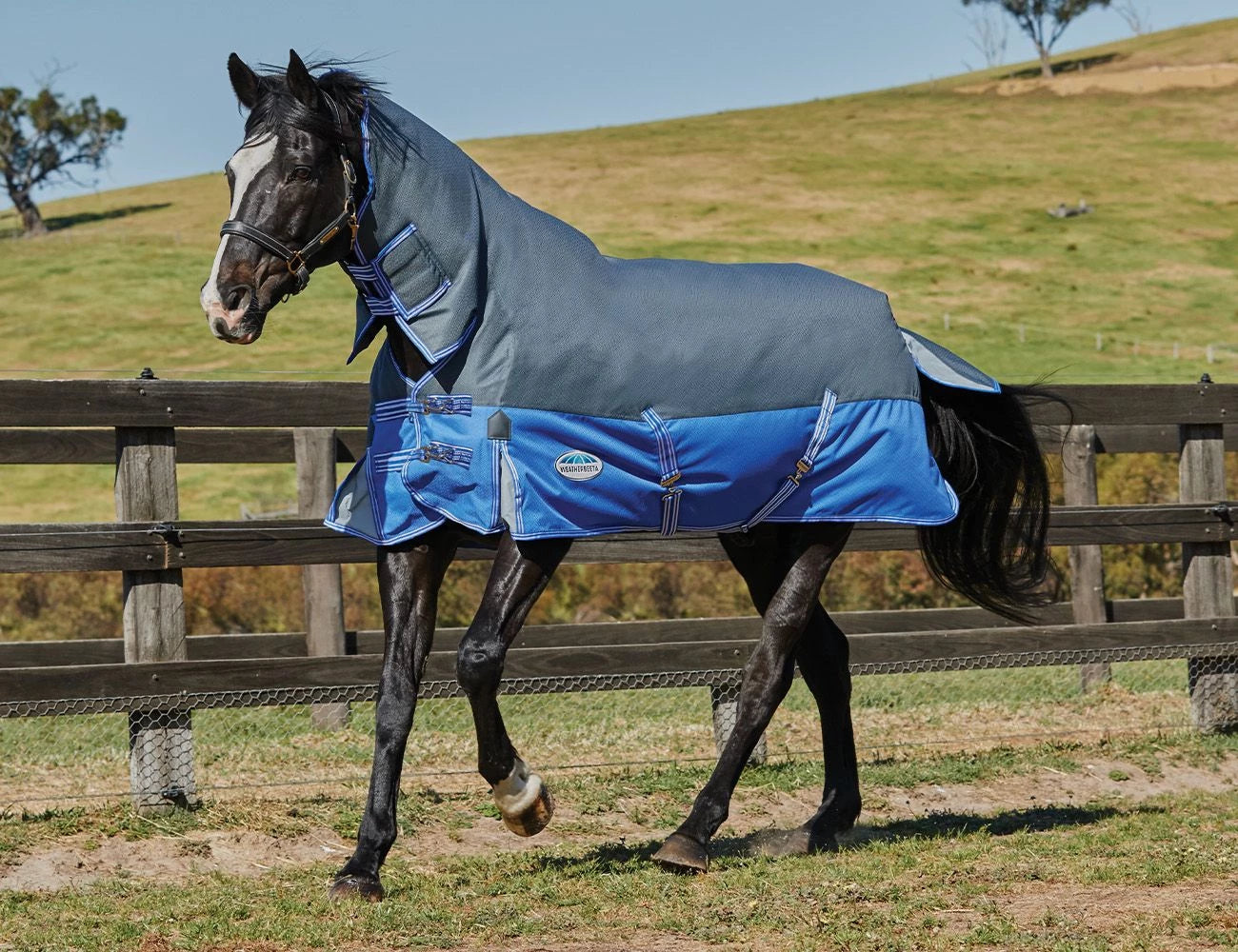 Weatherbeeta ComFiTec Premier Thinsulate Combo