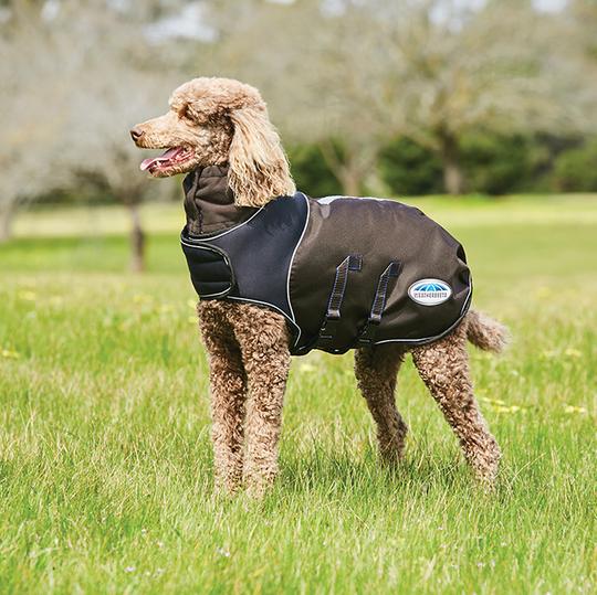 Weatherbeeta Comfitec Ultra Cozi Dog Coat