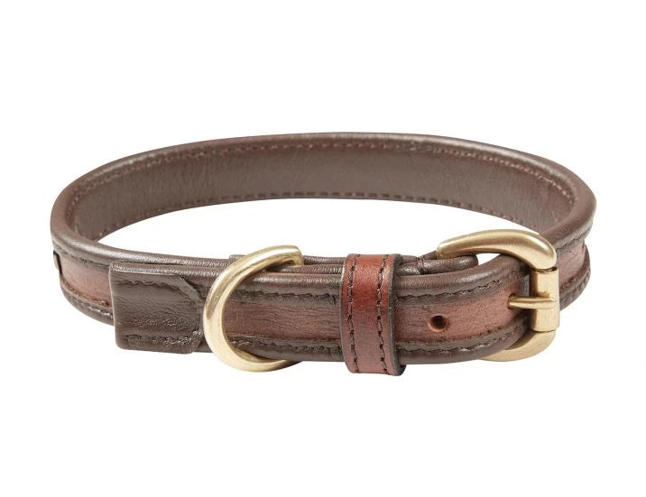 1010863000-brown_wb-two-toned-dog-collar_image_hero_null.webp