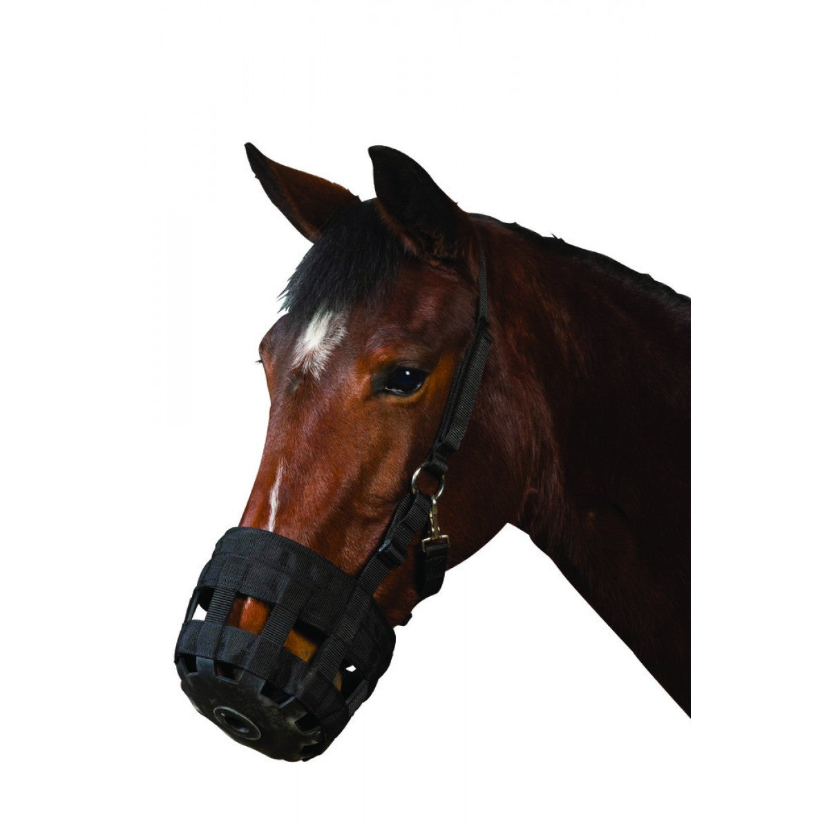 401361_Image_Hero_Hero.jpg