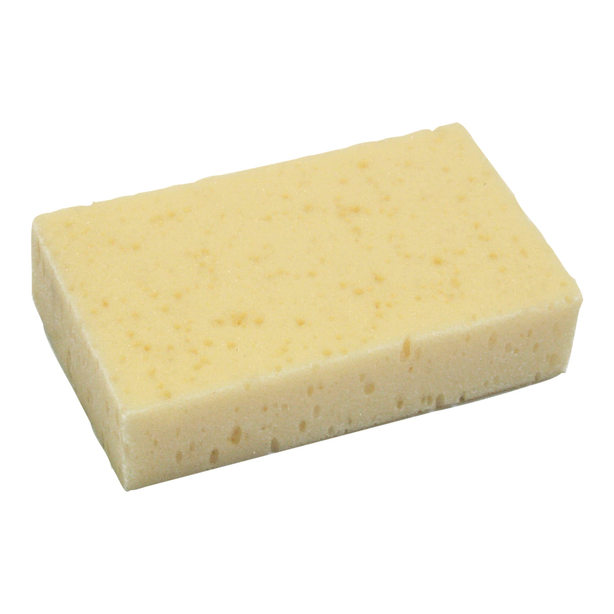 Eureka Grooming Sponge