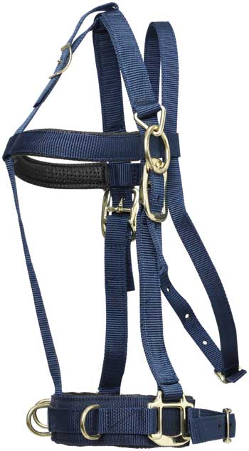 Deluxe Lunge Halter