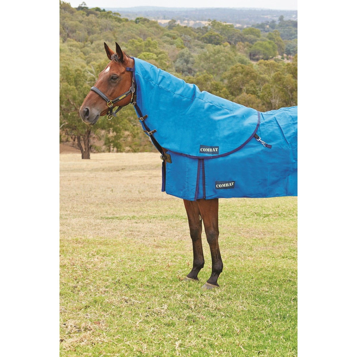 Canvas Horse Rugs - Deluxe & Lined Rugs – The Tack Box Saddleworld