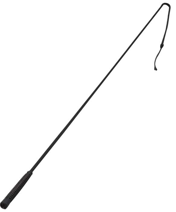 Economy Driving Whip - Black 120cm