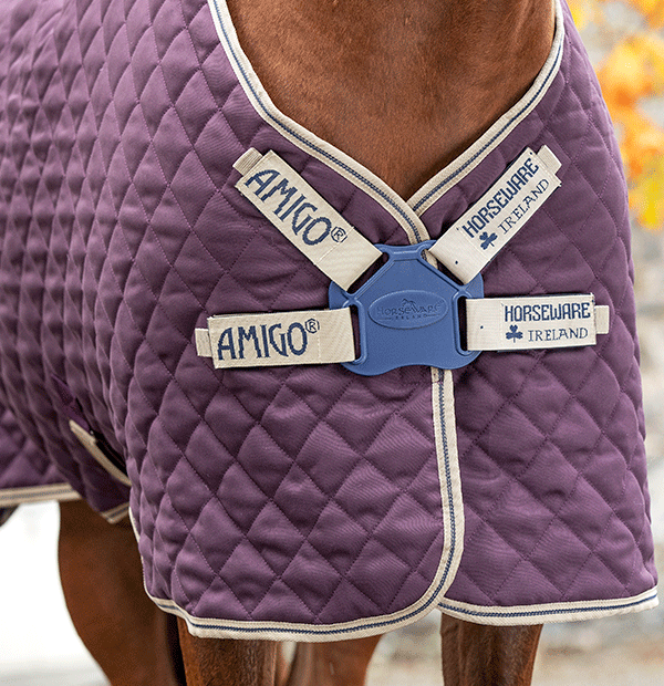 Amigo Stable Plus Medium Disc Front