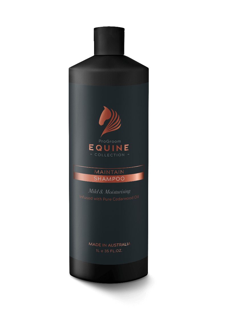 Progroom Equine Maintain Shampoo
