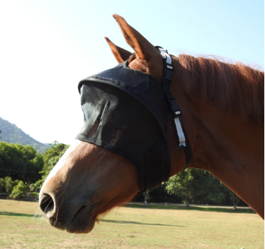 Equivizor_Solar_Flymask.png