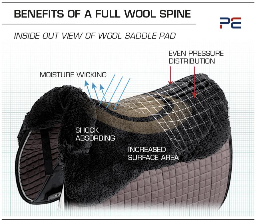 SS19-Wool-Spine-Infographic-zoom.jpg