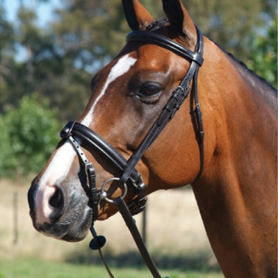 grainge_elite_dressage_snaffle.jpg