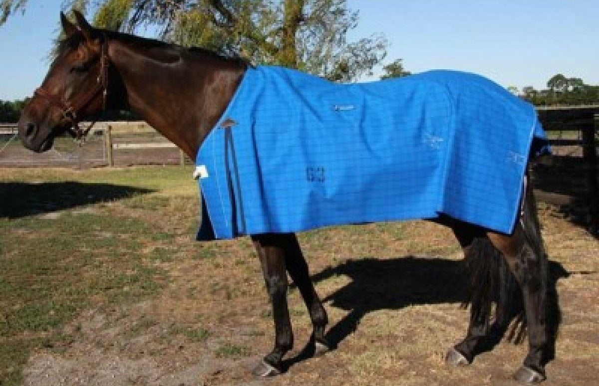 Tack Rug Canvas Horse Rugs - Deluxe & Lined Rugs – The Tack Box Saddleworld
