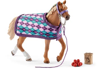 English Thoroughbred with Blanket